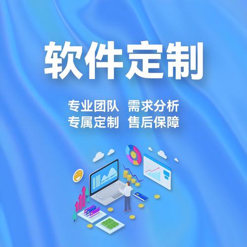 软件定制开发引领企业数字化转型